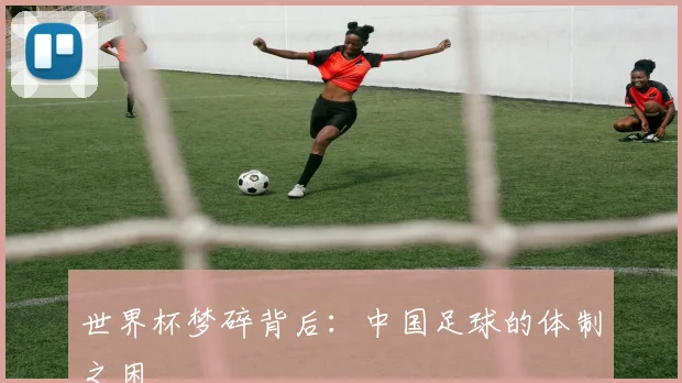 世界杯梦碎背后：中国足球的体制之困